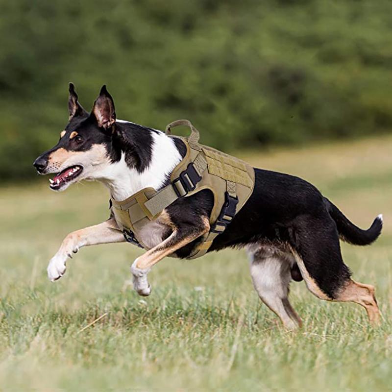 Einstellbarer deutscher Schäferhund Taktische Hundegurt-Weste mit Griff