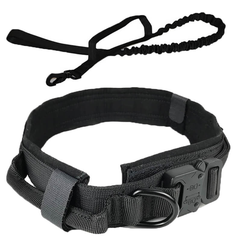 Einstellbares taktisches Hundehalsband mit Leine, Militärisches Hundehalsband von 1,5 '' Breite aus Nylon